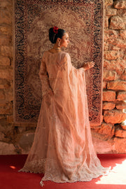 NARGIS