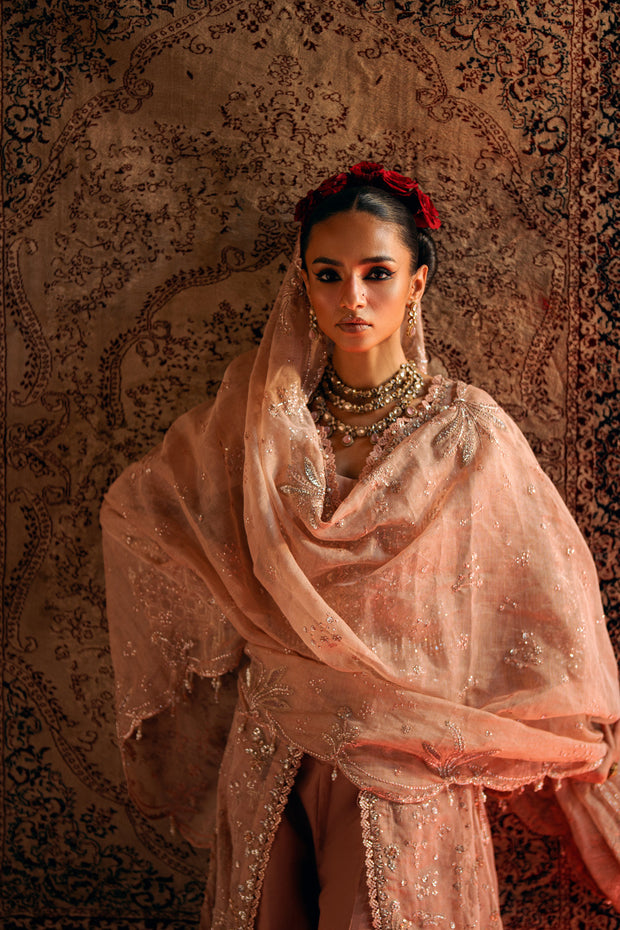 NARGIS