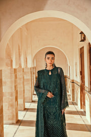 RIMA