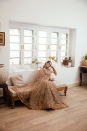 Noor
